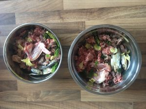 Raw meal fro two dogs
