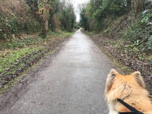Walking the cycle route 62