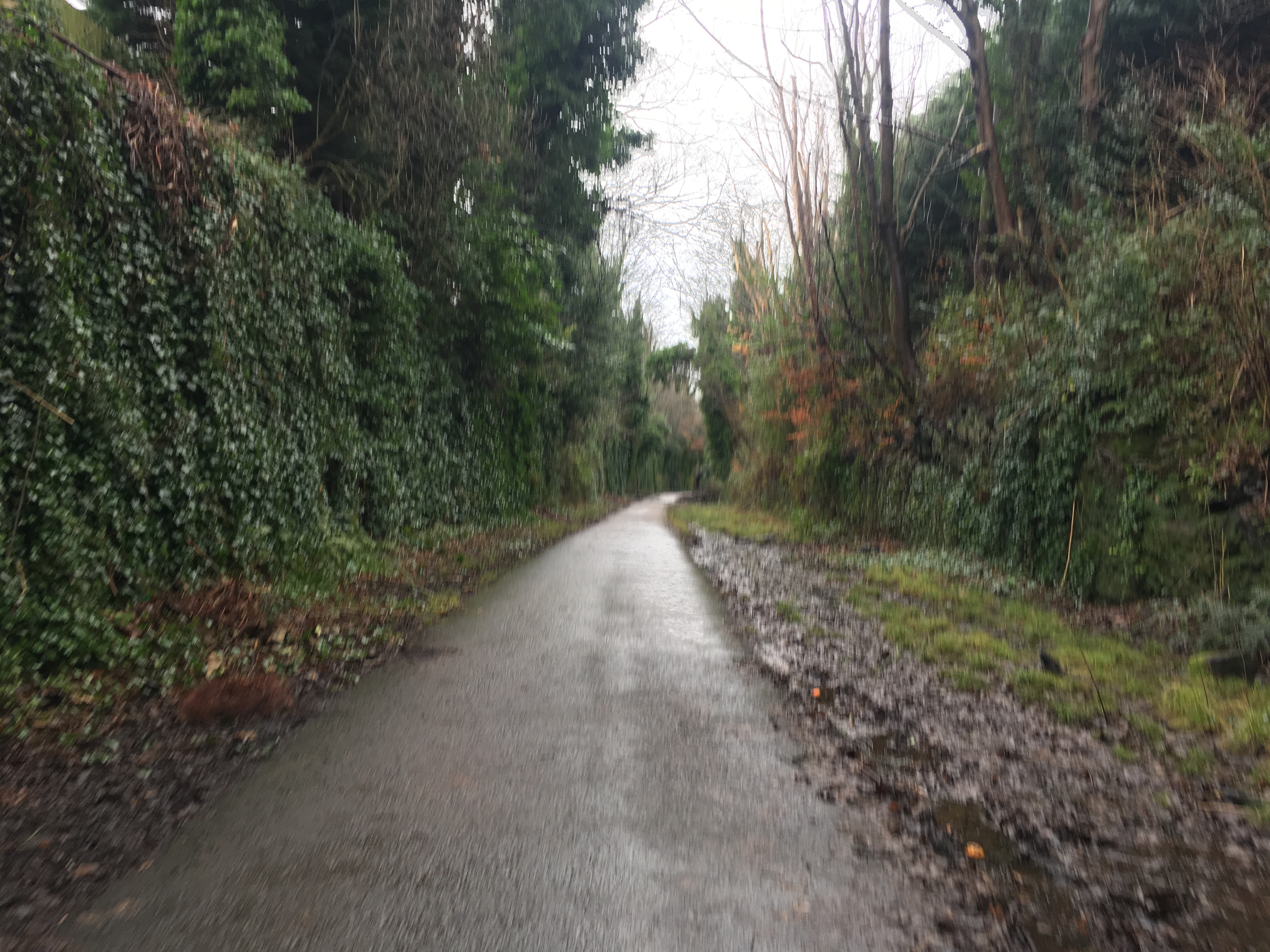 Walking the lines - Cycle Route 62